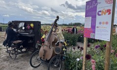 News image: BBQ, Bloei & Beats: terugblik op een kleurrijke netwerkavond!
